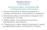 Wiesław Golnau Wydział Zarządzania Uniwersytet Gdański