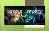 ZSOiE Sport - start - 2011/2012