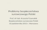 Problemy bezpieczeństwa surowcowego Polski