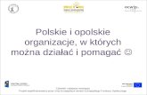 Polskie i opolskie organizacje, w których można działać i pomagać