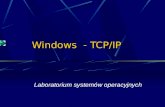 Windows  - TCP/IP