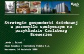 Strategie gospodarki ściekowej w przemyśle spożywczym na przykładzie Carlsberg Breweries