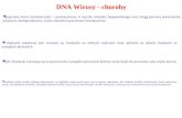DNA Wirusy - choroby