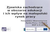 Zjawiska zachodzące  w obszarze edukacji  i ich wpływ na małopolski rynek pracy