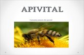 APIVITAL Naturalny pokarm dla pszczół