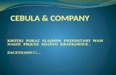 Cebula & Company