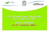 Dni Województwa Lubuskiego Euro Lubuskie 2012 WOSiR  DRZONKÓW 15-17 czerwca 2012