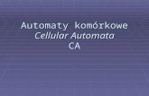 Automaty komórkowe Cellular Automata CA