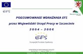 PODSUMOWANIE WDRAŻANIA EFS przez Wojewódzki Urząd Pracy w Szczecinie 2 0 0 4  –  2 0 0 6