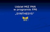 Udział MIZ PAN w programie FP6 „SYNTHESYS”