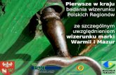Pierwsze w kraju  badania wizerunku Polskich Regionów