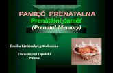 PAMIĘĆ  PRENATALNA Prenatální paměť (Prenatal Memory)