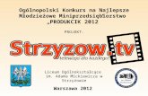 Ogólnopolski Konkurs na Najlepsze Młodzieżowe  Miniprzedsiębiorstwo „PRODUKCIK 2012” PROJEKT :