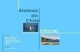 Biomas  de  Chile