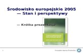 Środowisko europejskie  2005  —  Stan i perspektywy