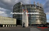 Parlament   Europejski