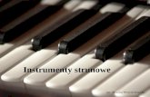 Instrumenty strunowe