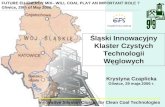 Śląski Innowacyjny Klaster Czystych Technologii Węglowych