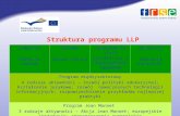 Struktura programu LLP