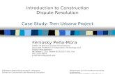 Case Study: Tren Urbano Project