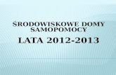 ŚRODOWISKOWE DOMY SAMOPOMOCY LATA 2012-2013