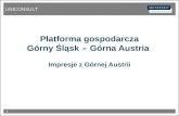 Platforma gospodarcza Górny Śląsk  –  Górna Austria Impresje z Górnej Austrii