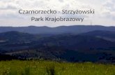 Czarnorzecko  - Strzyżowski  Park  Krajobrazowy