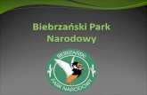 Biebrzański Park Narodowy