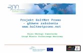 Projekt BaltMet Promo  - główne założenia  baltmetpromo