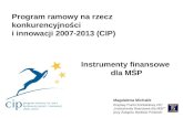 Program ramowy na rzecz konkurencyjności  i innowacji 2007-2013 (CIP)