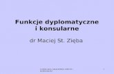 Funkcje dyplomatyczne i konsularne dr Maciej St. Zięba