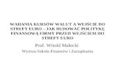 Prof. Witold Małecki  Wyższa Szkoła Finansów i Zarządzania