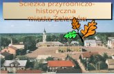 Ścieżka przyrodniczo-historyczna  miasta Żelechów