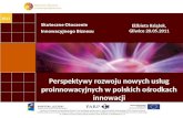 Perspektywy rozwoju nowych usług proinnowacyjnych w polskich ośrodkach innowacji