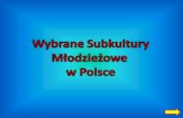 Wybrane Subkultury Młodzieżowe  w Polsce