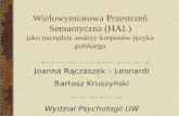 Wielowymiarowa Przestrzeń Semantyczna (HAL) jako narzędzie analizy korpusów języka polskiego
