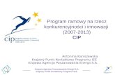 Program ramowy na rzecz konkurencyjności i innowacji  (2007-2013) CIP