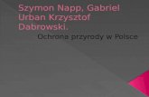 Szymon Napp, Gabriel Urban  K rzysztof  Dabrowski .