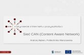 Sieć CAN (Content  Aware  Network) Andrzej Bęben, Politechnika Warszawska