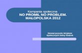 Kampania społeczna  NO PROMIL NO PROBLEM. MAŁOPOLSKA 2012