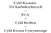 Cykl Kwasów  Tri-karboksylowych = TCA  =  Cykl Krebsa  = Cykl Kwasu Cytrynowego