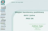 -------------------------- Andrzej  Zając wiceprezes zarządu PKE S.A. w Katowicach