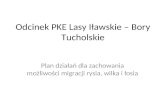 Odcinek PKE Lasy Iławskie – Bory Tucholskie