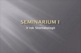 Seminarium I