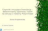 Czynniki inicjujące translację – determinanty oporności roślin na wirusy z rodziny  Potyviridae