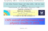 CMS overall performance and physics results in 2010