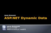 ASP.NET  Dynamic  Data