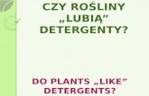Czy rośliny „Lubią” detergenty?