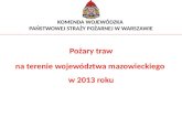 Pożary traw na terenie województwa mazowieckiego  w 2013 roku