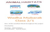 Wadha  Mubarak Class 2/1